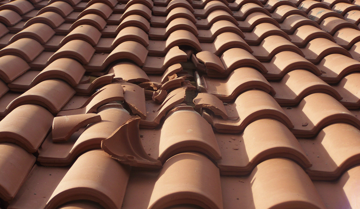 Kaj je najboljša streha za podnebne spremembe?